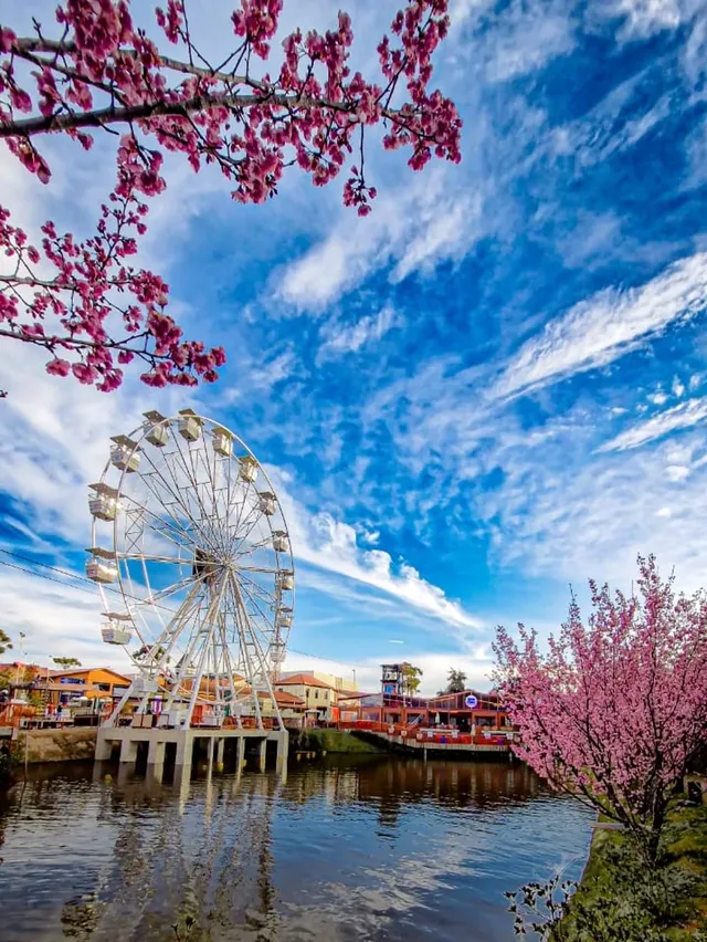 527339044_17867095461425947_2659101160700202066_n.