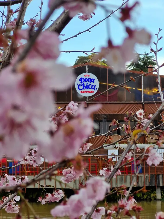 528912912_17867095443425947_3306297589328498266_n.